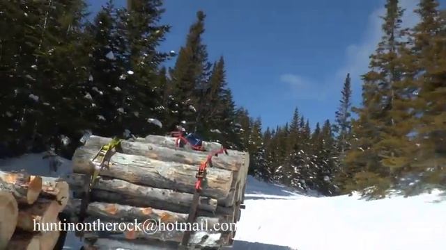 Skandic 550 hauling firewood смотреть онлайн