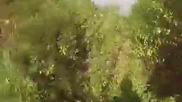 stihl fs 550 смотреть онлайн