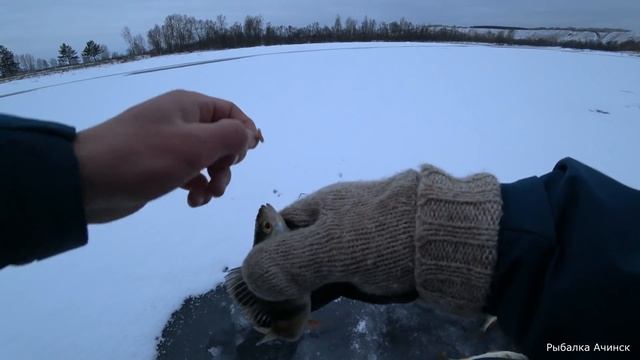 Рыбалка. первый лед на реке Чулым, зимняя рыбалка, ловля окуня на мормышку и балансир смотреть онлайн