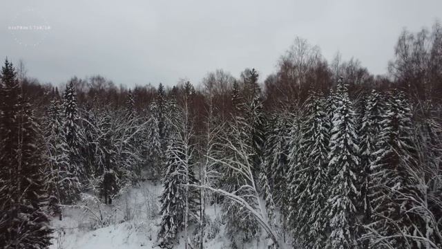 ЭТОТ БУКС ЗАВЁЗ В САМУЮ ГЛУШЬ! / НОЧУЕМ В ЛЕСУ / ЛОВИМ ХАРИУСА / Тофалар 600 смотреть онлайн