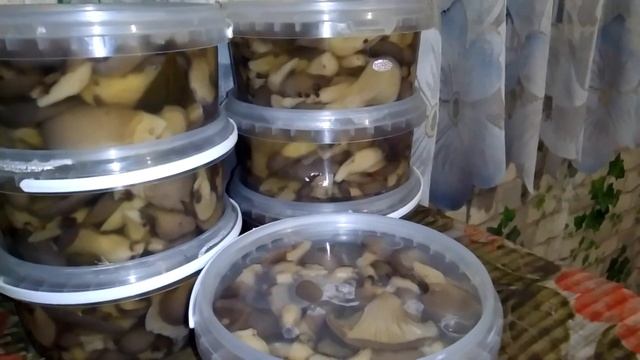 Такие Грибочки хотят все Молоденькие Маринованные Грибы Вешенка очень вкусно и красиво смотреть онлайн