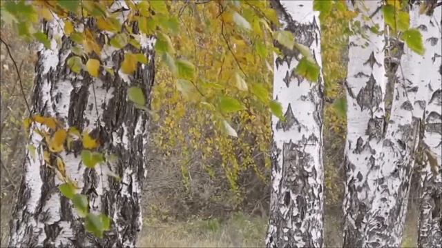 Музыка для дневного сна. смотреть онлайн