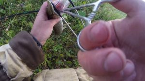 Рыбалка на живца. Испытание электронного живца.