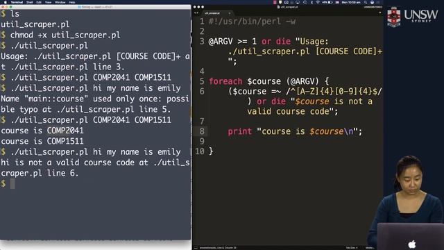 COMP2041/COMP9041 - Simple Web Scraping, Part 1: Introduction and Skeleton смотреть онлайн