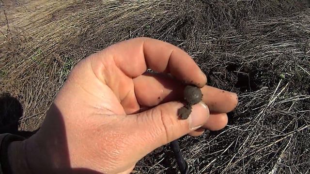 Кладоискатели! Пасхальный выезд на коп. смотреть онлайн