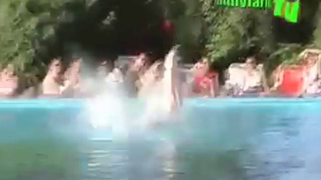 Funny Farm TV NEWS