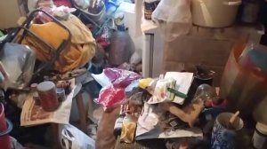 Разбор мусора  захламленной квартиры Плюшкина в СПб