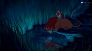 Рафики и Симба