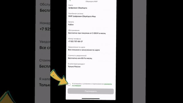 How to get MIR Account Thru sberbank online in a minute | gerribou travel vlog смотреть онлайн