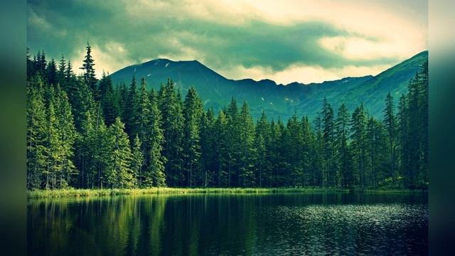 Молитва Николаю Чудотворцу о благополучии смотреть онлайн