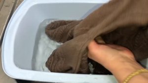 РАСТЯНУТЬ СВИТЕР  КОТОРЫЙ СЕЛ  ПОСЛЕ СТИРКИ ПРОСТО !