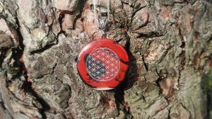 Цветок жизни