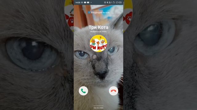 26 августа 2023 г. смотреть онлайн