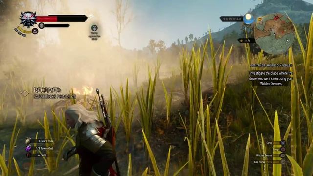The Witcher 3 Wild Hunt Farm Drowners Location Velen смотреть онлайн