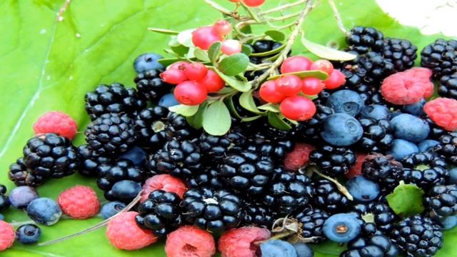 Эви про жизнь народов Крайнего Севера