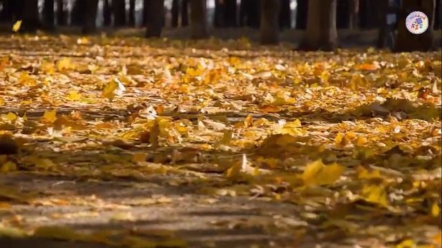 Осень постучалась к нам золотым дождём смотреть онлайн