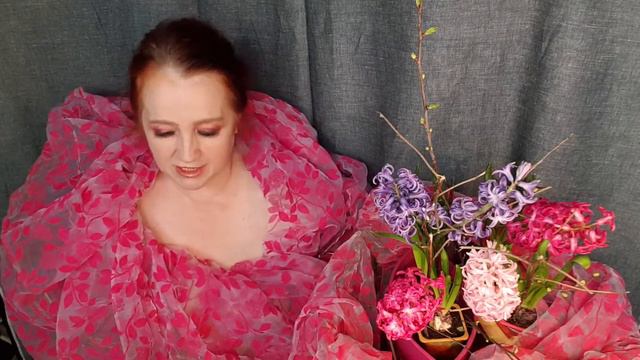 Гипеаструм - навстречу 14 февраля смотреть онлайн