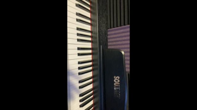 Souidmy G-310W - 88 Key Digital Piano Review | Electric Piano Keyboard for Beginner and Professiona смотреть онлайн