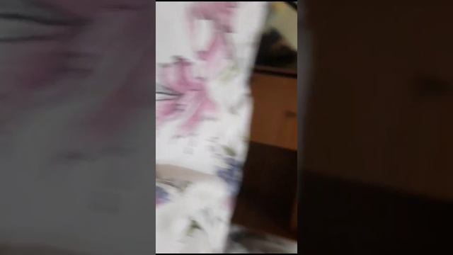 VID-20231104-WA0020.mp4 смотреть онлайн