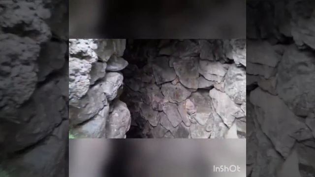 Ботанический сад в Валбжихе, Польша смотреть онлайн