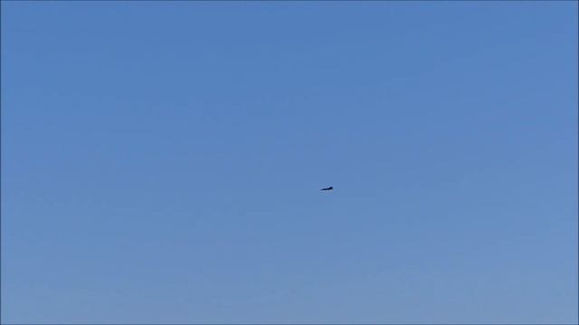 3d-printed F-111 Aardvark 64 mm EDF maiden flight смотреть онлайн