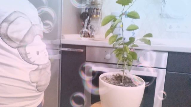Как я показываю свои цветы🌷 смотреть онлайн