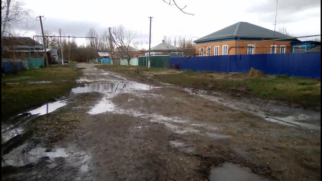 Цветы, природа марта. Краснодарский край.Весна. смотреть онлайн