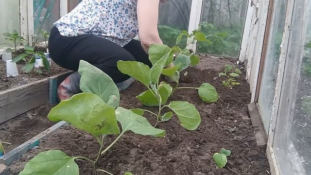 Тайники природы