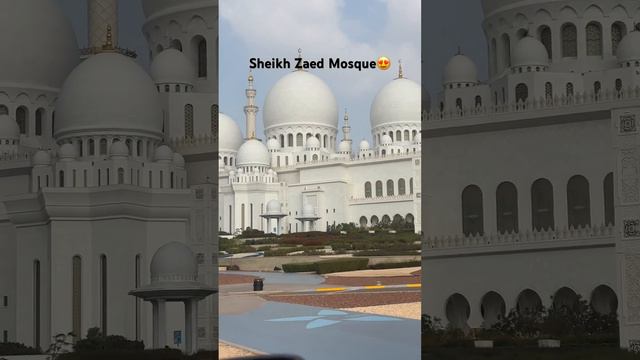 Мечеть Шейха Заида😍 #абудаби #abudhabi #abudhabivlog #abudhabiyoutube #sheikhzayedmosque смотреть онлайн