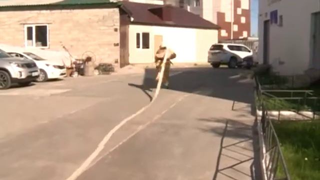 Кто поборется за звание «лучшего пожарного» от Ямальского района? смотреть онлайн