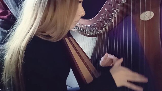 Hieronymus Bosch - Butt Music Celtic Harp SHEET MUSIC смотреть онлайн