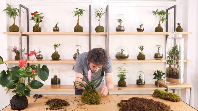 ¿Cómo hacer kokedamas con flor? смотреть онлайн