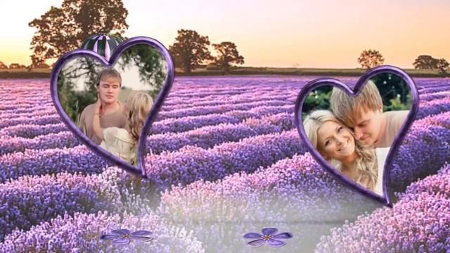 Il colore della lavanda . смотреть онлайн