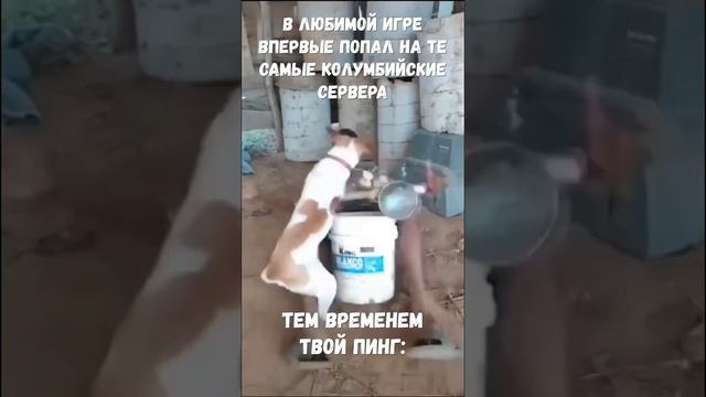 Игромемы - колумбийские сервера #мемы #игры смотреть онлайн