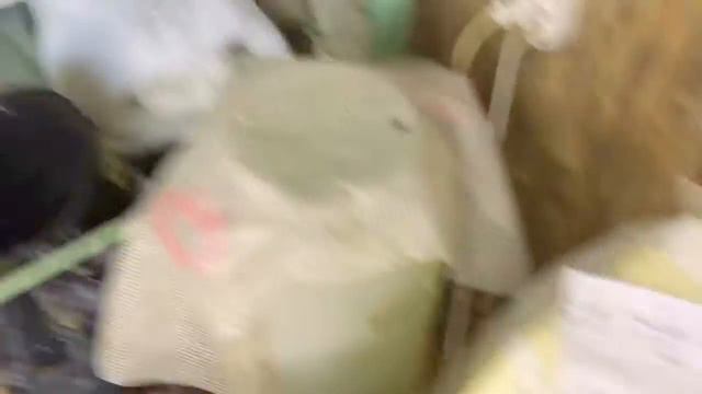 Отправка рака в Орехово-Зуево смотреть онлайн