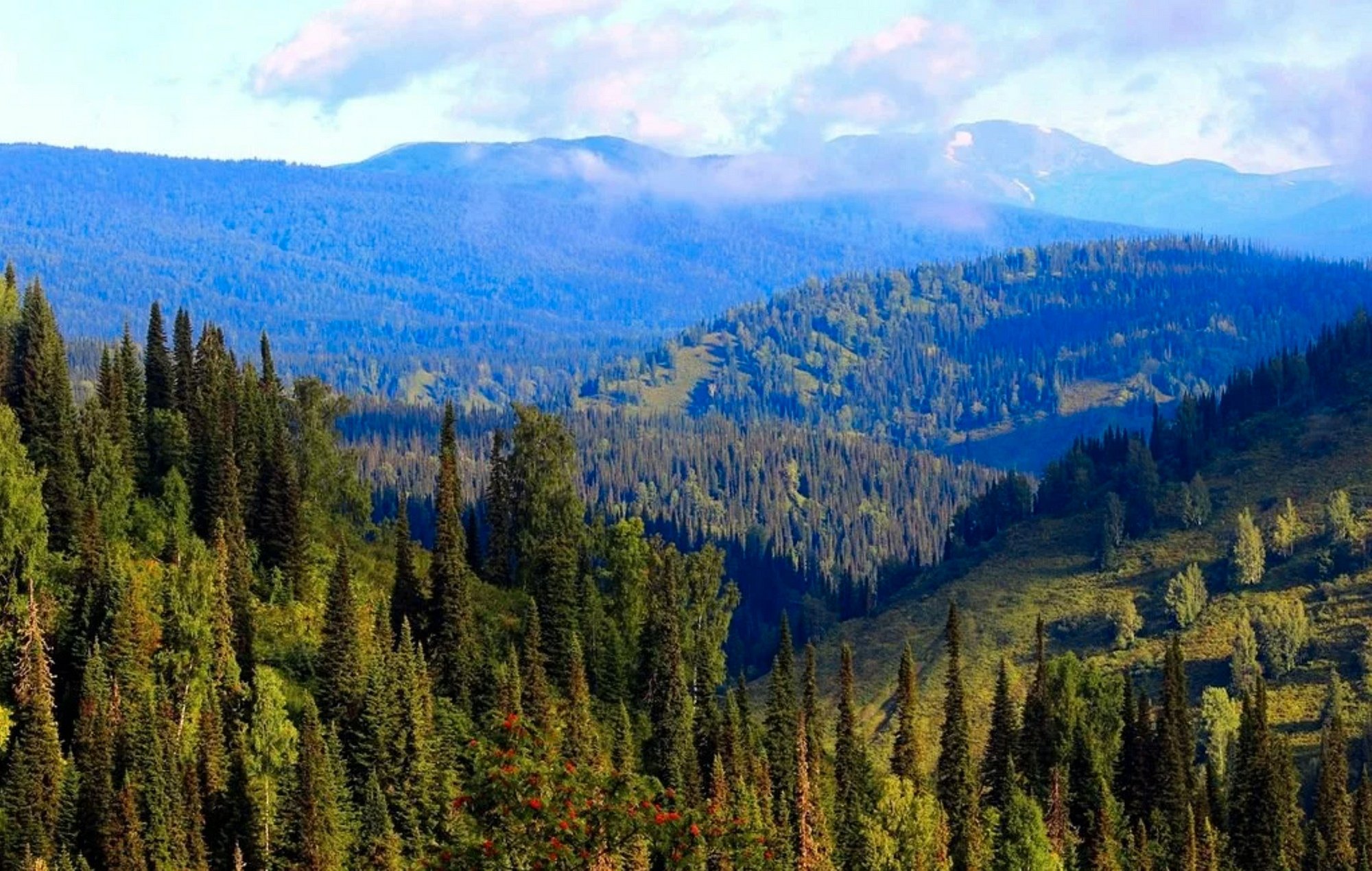 Тяжёлый взгляд смотреть онлайн