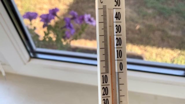 ПИСЬМО дошло Я ПРОЧИТАЛ и с МАСЬКОЙ закосили смотреть онлайн