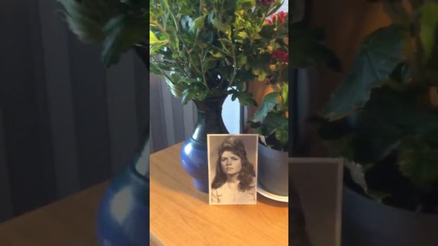 Сорвали розу . Поет Н . Кадышева 🌹 смотреть онлайн