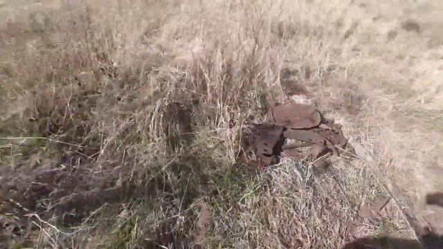 Металлокоп 2021 | Результат приятно удивил | Коп металла,приехали и добили полевой стан,чермет. смотреть онлайн