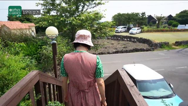 [ SUB ] 오래된 초보의 제주 정원 Old Beginner's Jeju Garden | 정원의 발견 Wonders of Garden | KBS제주20230707방송 смотреть онлайн