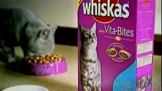 Смешная реклама кошачьего корма Вискас смотреть онлайн