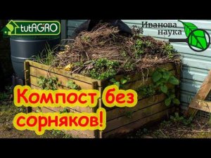 КОМПОСТ - ИСТОЧНИК СОРНЯКОВ! КАК ИЗБАВИТЬСЯ ОТ СОРНЯКОВ В КОМПОСТЕ НАВСЕГДА? Компост без сорняков.