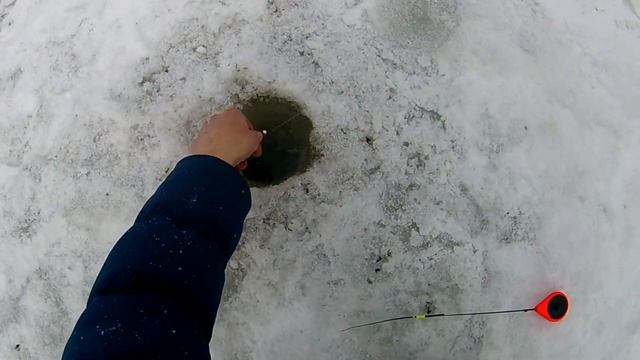 Ловля краснопёрки и плотвы весной на мормышку. смотреть онлайн