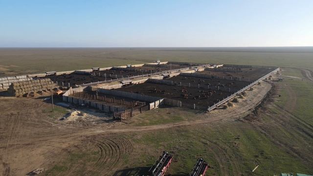 Откорм бычков. Полезно , выгодно , прибыльно , рентабельно .Калмыкия!!!!!!!!! смотреть онлайн