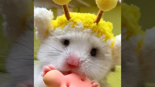 Пора завтракать:) смотреть онлайн