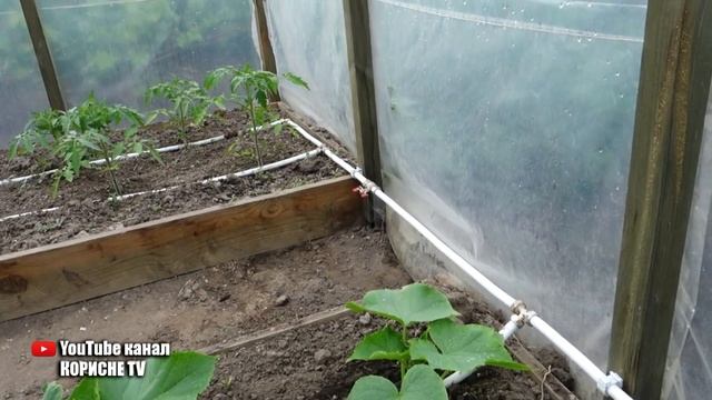 Вічний крапельний полив своїми руками! Зроби собі такий смотреть онлайн