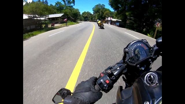 [RAW VIDEO] Kawasaki Z650 | JGMoto's Honda CBR954 Fireblade | Kawasaki Ninja1000 | Yamaha Aerox 155