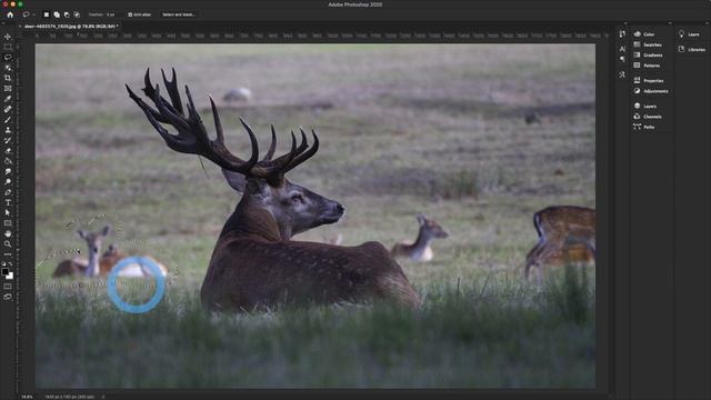 Photoshop CC 2021 Tutorial | adobe photoshop content aware fill tutorial 2021 смотреть онлайн