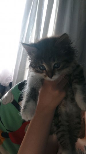 снова и снова я с вами говорю