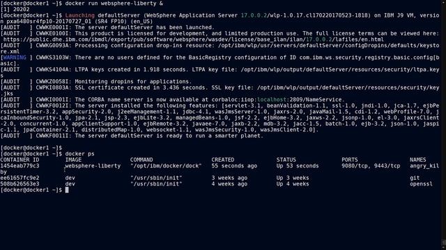 Docker Tutorials | Docker commands with Examples (docker ps, stats, run, exec, rm) and Networking смотреть онлайн